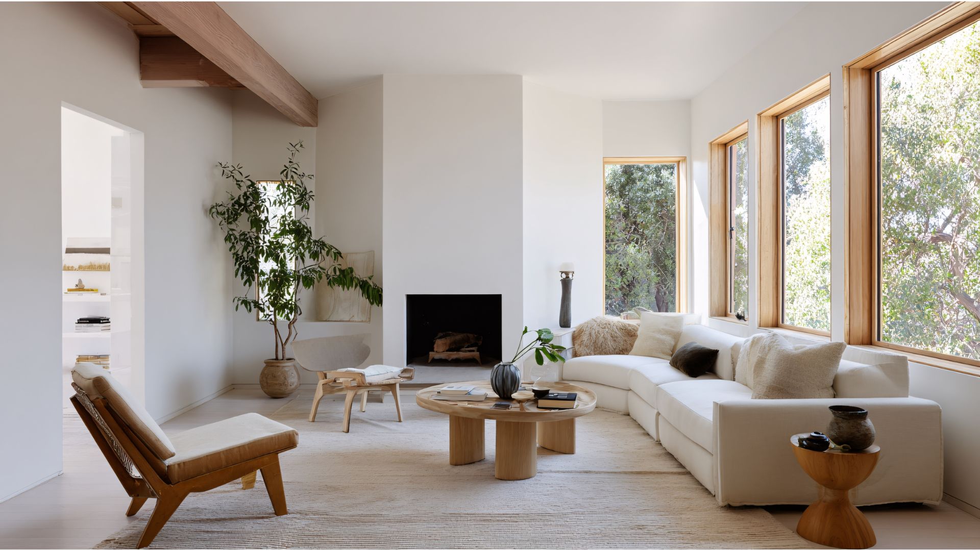Indoor Plants